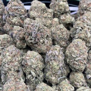 Close-up of Astro Gelato cannabis flower with frosty trichomes and green-purple buds