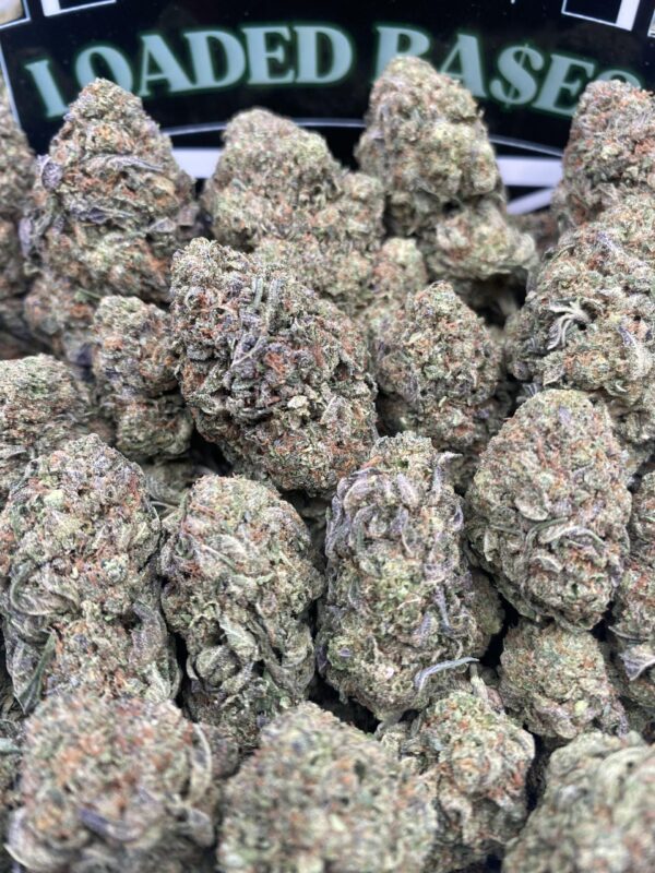 Close-up of Astro Gelato cannabis flower with frosty trichomes and green-purple buds