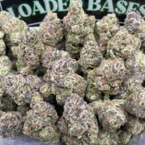 Berry Blast cannabis flower – premium fruity weed strain with high THC buds for sale online