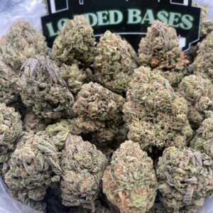 Close-up of Berry Gelato cannabis flower with frosty trichomes and green-purple hues