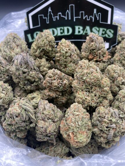 Close-up of Berry Gelato cannabis flower with frosty trichomes and green-purple hues