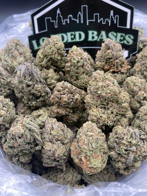Close-up of Berry Gelato cannabis flower with frosty trichomes and green-purple hues