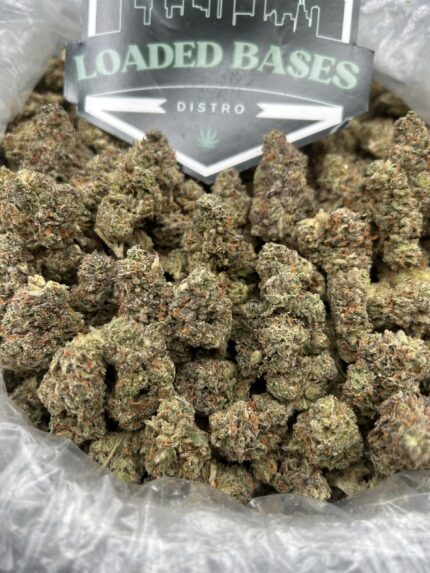 Close-up of Biscotti Paradise cannabis flower with frosty trichomes and purple hues