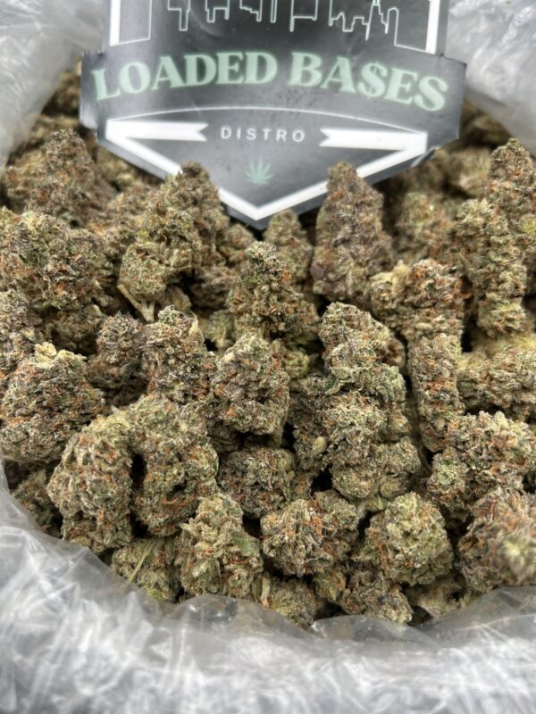 Close-up of Biscotti Paradise cannabis flower with frosty trichomes and purple hues