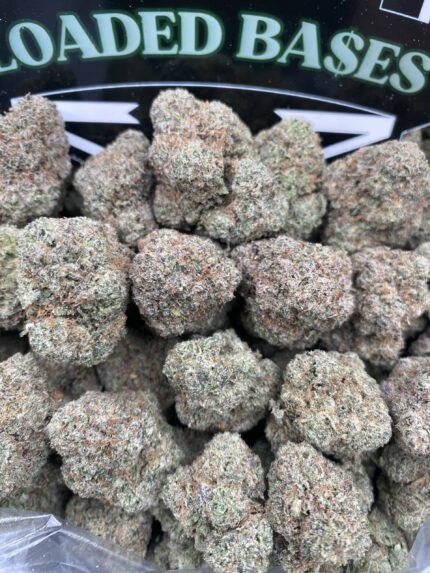 Close-up of Black Cherry cannabis flower with deep green and purple buds
