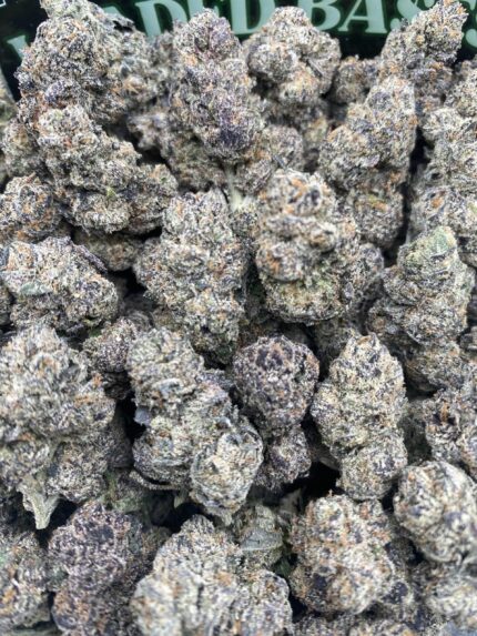 Close-up of Black Cherry Gelato cannabis flower with dense purple and green buds and sparkling trichomes