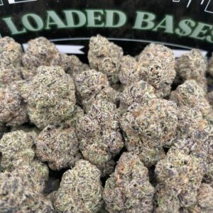 Blue Gushers cannabis buds – sweet hybrid strain