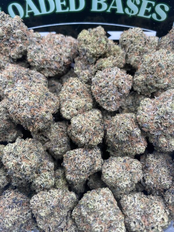 Blueberry Gumbo cannabis buds – sweet hybrid strain