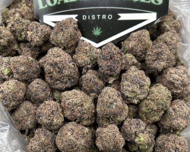Bubblegum Runtz cannabis buds – sweet hybrid strain