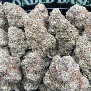 Candy Cane cannabis buds – sweet hybrid strain