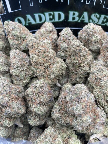 Candy Cane cannabis buds – sweet hybrid strain