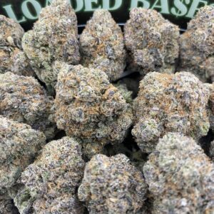 Candy Gelato cannabis buds – sweet hybrid strain
