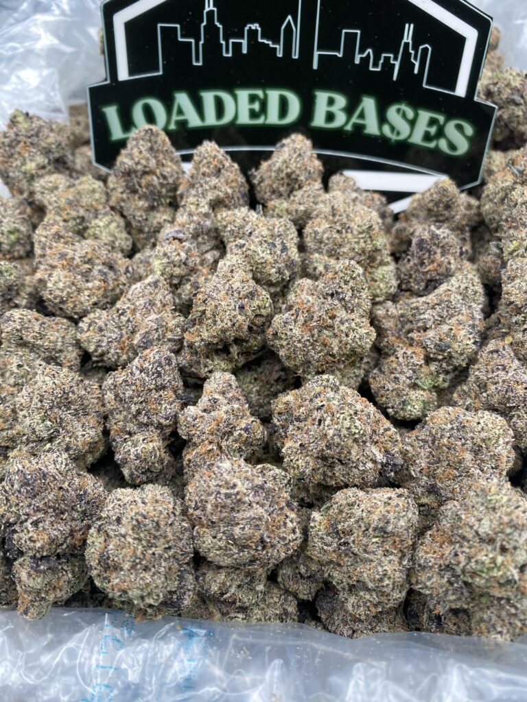 Candy Gushers cannabis buds – sweet hybrid strain
