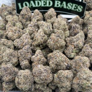 Candy Gushers cannabis buds – sweet hybrid strain