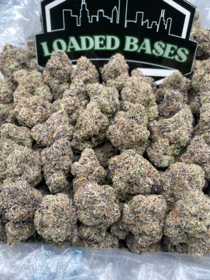 Candy Gushers cannabis buds – sweet hybrid strain