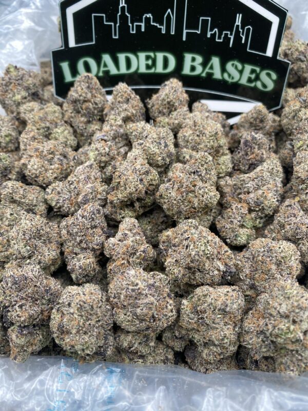 Candy Gushers cannabis buds – sweet hybrid strain