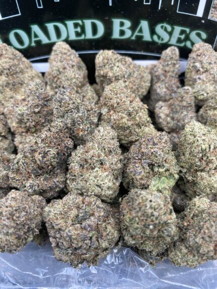 Candy Gushers cannabis flower – premium fruity strain with high THC buds for sale