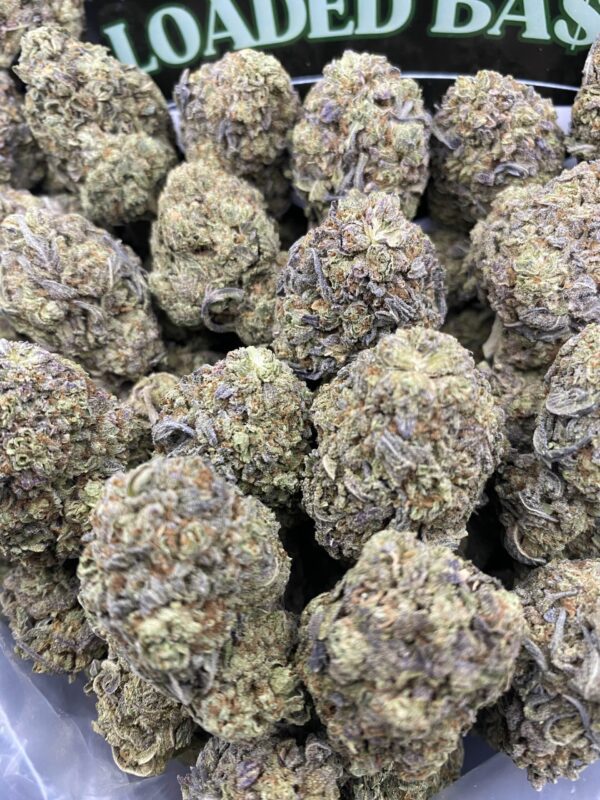 Cheetah Piss cannabis flower buds – potent THC-rich hybrid strain