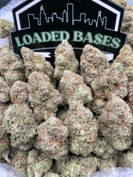 Cherry Blow Pop cannabis flower buds – premium THC-rich hybrid strain