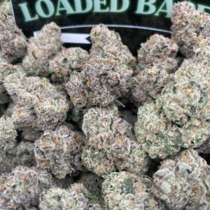Cherry Guava cannabis flower buds – premium THC-rich hybrid strain