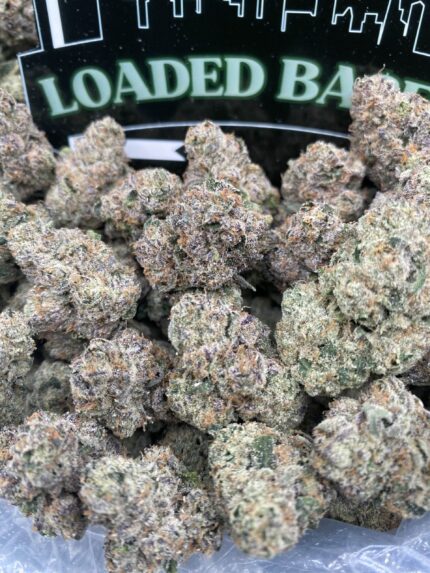Cherry Guava cannabis flower buds – premium THC-rich hybrid strain