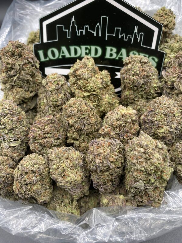 Cherry Ice Pop cannabis flower buds – premium THC-rich hybrid strain