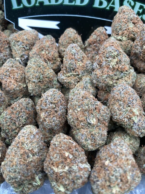 Cherry Splash cannabis flower buds – premium THC-rich hybrid strain