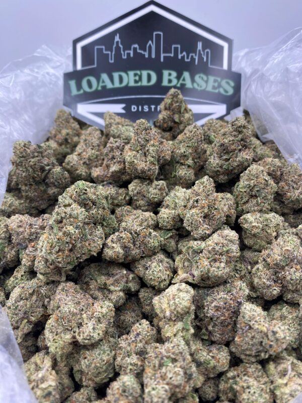 Cotton Candy cannabis flower buds – premium THC-rich weed strain for sale online