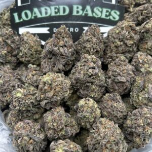 Cream Cookies cannabis flower buds with frosty trichomes