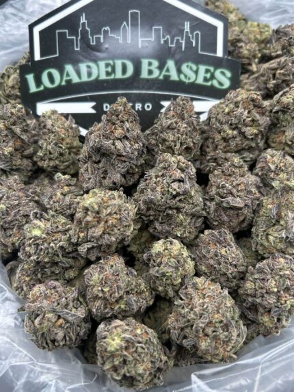 Cream Cookies cannabis flower buds with frosty trichomes
