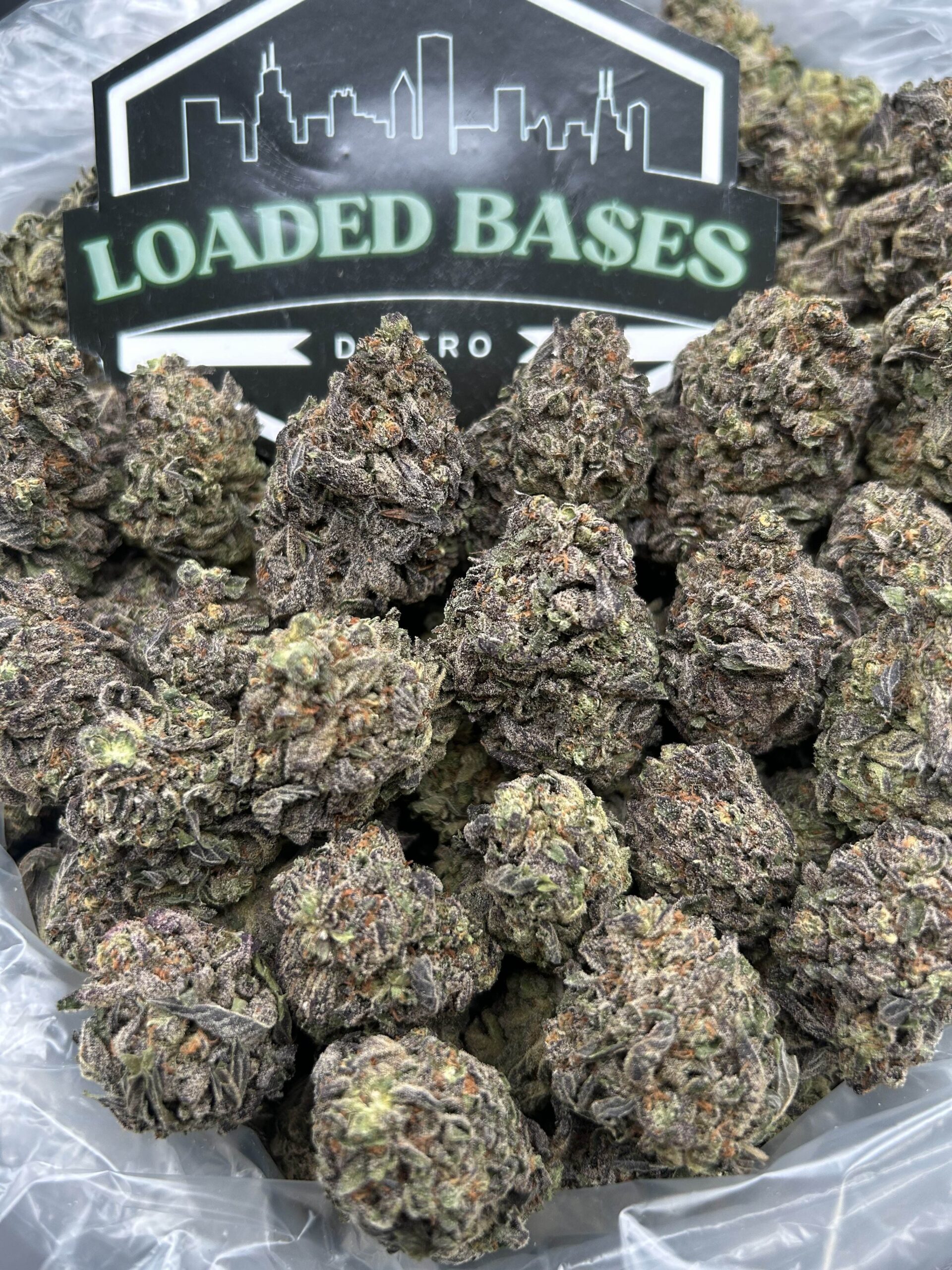 Cream Cookies cannabis flower buds with frosty trichomes