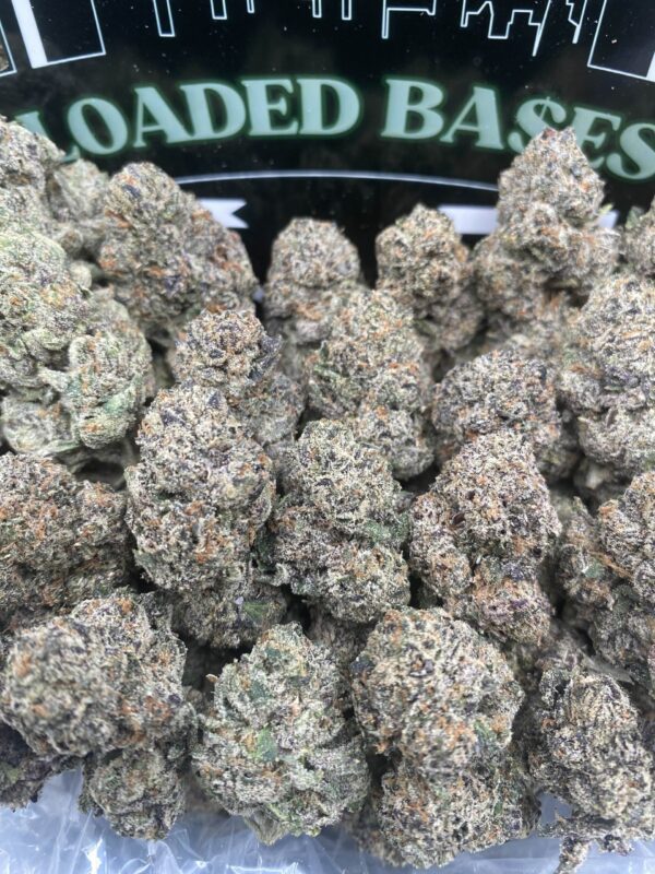 Dream Runtz cannabis flower buds with dense trichomes