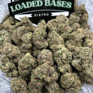 Fritter Runtz cannabis flower – premium hybrid buds with sweet fruity and creamy dessert flavor