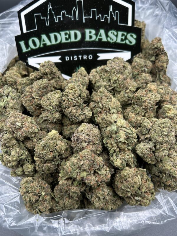 Fritter Runtz cannabis flower – premium hybrid buds with sweet fruity and creamy dessert flavor