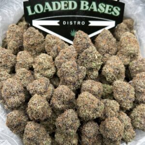 Gaslato cannabis flower – premium hybrid buds with creamy dessert flavor and subtle gassy aroma