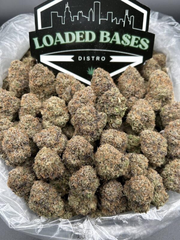 Gaslato cannabis flower – premium hybrid buds with creamy dessert flavor and subtle gassy aroma