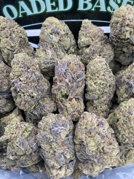 Gelato Candy cannabis flower hybrid strain with sweet fruity flavor and relaxing effects