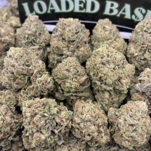 Gelato Fuel cannabis flower hybrid strain with sweet dessert flavor and balanced relaxing effects