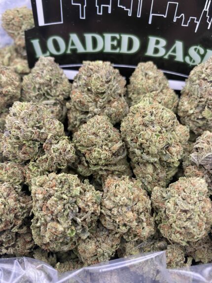 Gelato Fuel cannabis flower hybrid strain with sweet dessert flavor and balanced relaxing effects