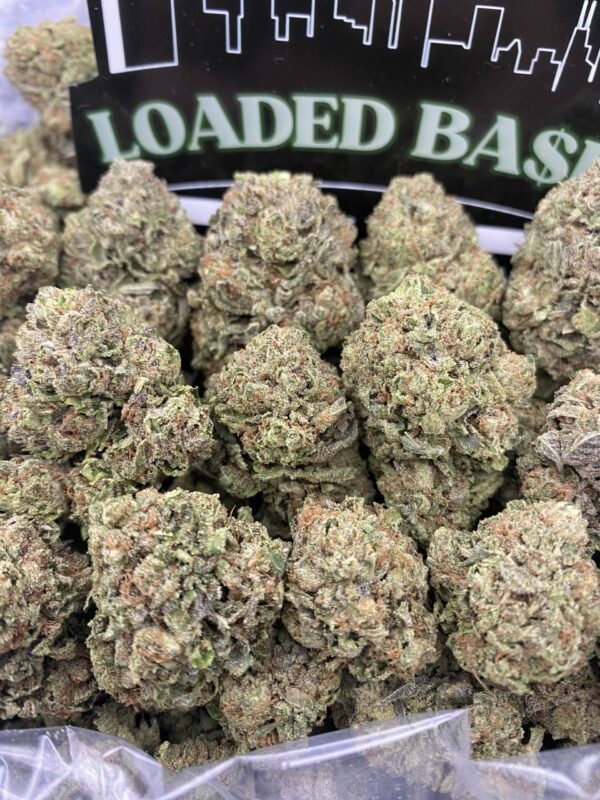 Gelato Fuel cannabis flower hybrid strain with sweet dessert flavor and balanced relaxing effects
