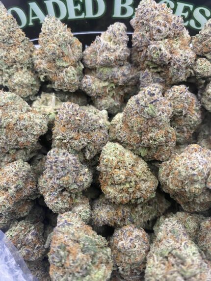 Grape Gas hybrid cannabis buds with deep purple and green hues, covered in frosty trichomes