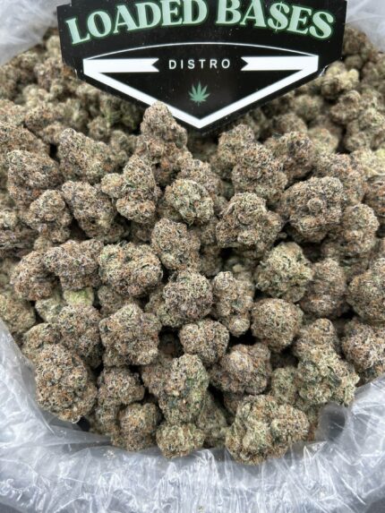 Guava Gas cannabis flower dense hybrid buds with tropical guava aroma and gassy undertones.
