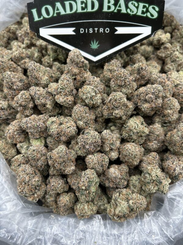 Guava Gas cannabis flower dense hybrid buds with tropical guava aroma and gassy undertones.