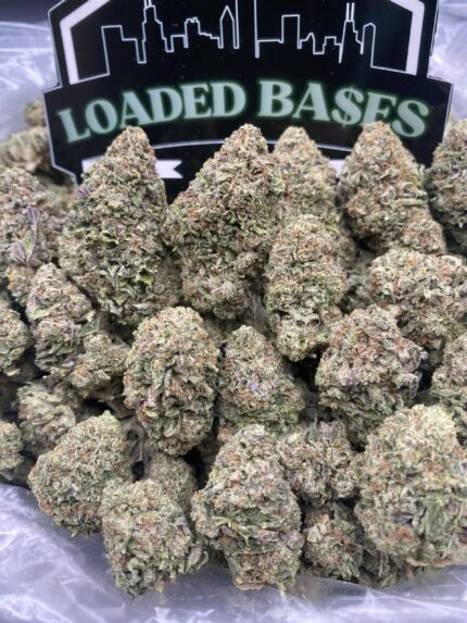 Ice Cream Pop cannabis flower hybrid buds with sweet creamy flavor and frosty trichomes.