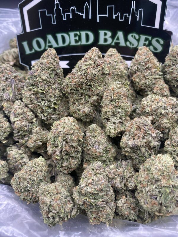 Ice Cream Pop cannabis flower hybrid buds with sweet creamy flavor and frosty trichomes.