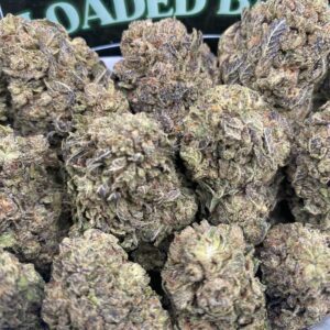 Ice Cream Splash cannabis flower with frosty trichomes