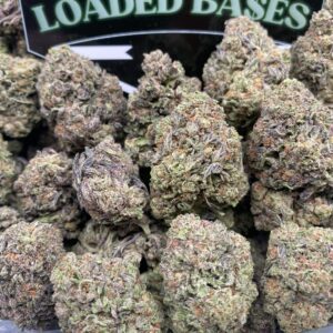 Italian Ice cannabis buds with purple hues and frosty trichomes