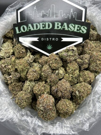 Jello Cake strain hybrid cannabis flower