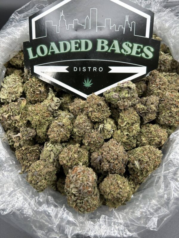 Jello Cake strain hybrid cannabis flower