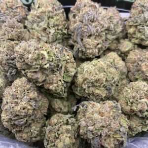 King Gumbo strain hybrid cannabis flower